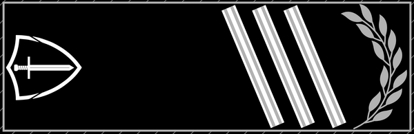 Rangabzeichen Staff Sergeant